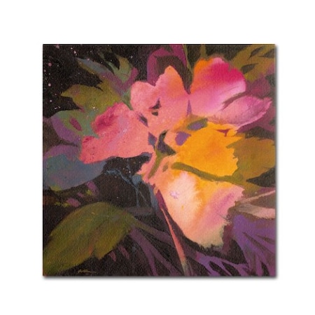 Sheila Golden 'Star Garden' Canvas Art,14x14
